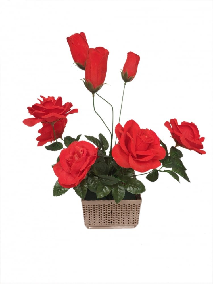 Rổ vuông thắng lợi