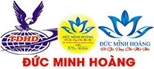 CTY TNHH MTV THƯƠNG MẠI DỊCH VỤ & SẢN XUẤT ĐỨC MINH HOÀNG